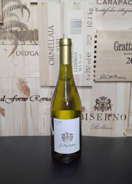 de ViTE vigneti delle Dolomiti HOFSTATTER