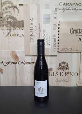 Meczan Blauburgunder pinot nero HOFSTATTER