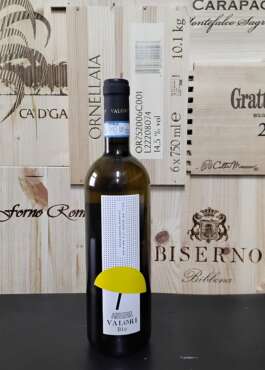 Pecorino Abruzzo MASCIARELLI