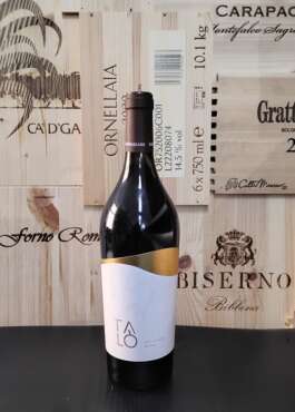 Malvasia Nera SAN MARZANO
