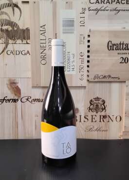 Chardonnay SAN MARZANO