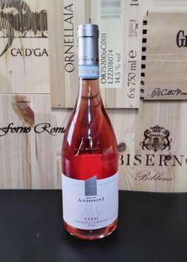 Cerasuolo d'Abruzzo TENUTA ANTONINI